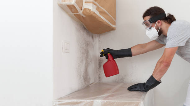 Professional Crawl Space Mold Remediation technician working in Exton, PA