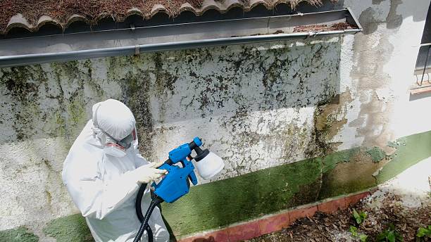 Top rated local Crawl Space Mold Remediation specialists in Exton, PA